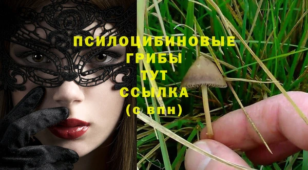 винт Нестеровская