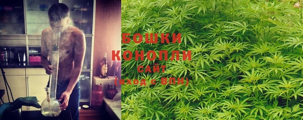спайс Кулебаки