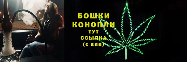 прущие грибы Ладушкин