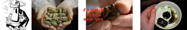 спайс Кулебаки