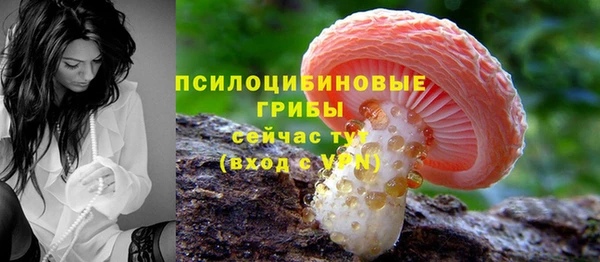 прущие грибы Ладушкин