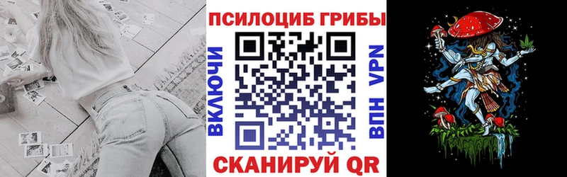 Псилоцибиновые грибы мицелий  Купить где  Лесной 